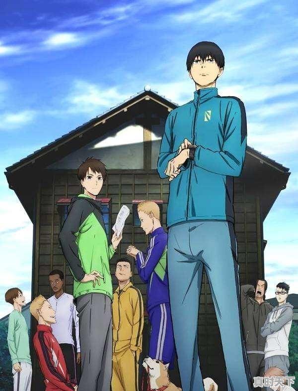 3、推荐几部男主很强大的比较冷门的但一定要热血，有战斗的动漫，冷门动漫推荐打斗类 - 真时天下