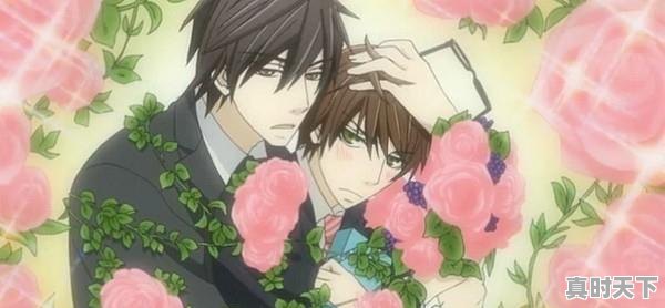 2、有啥搞基动漫推荐给我，动漫推荐无cp热血 - 真时天下