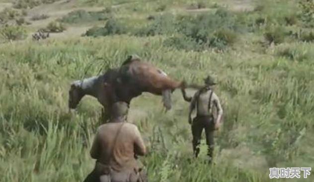 4、有什么不氪金又好玩的游戏来打发时间吗，3a热门游戏排行榜前十名有哪些手游可以玩 - 真时天下