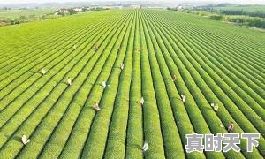 4、创新精神对个人发展的重要性，科技创新促进持续发展 - 真时天下