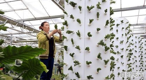 1、创新精神对个人发展的重要性，科技创新促进持续发展 - 真时天下