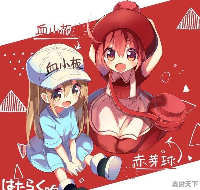 1、Q版三国同期上映的动漫，美国三观炸裂动漫推荐 - 真时天下