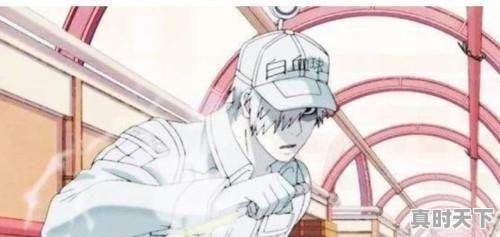 9、Q版三国同期上映的动漫，美国三观炸裂动漫推荐 - 真时天下