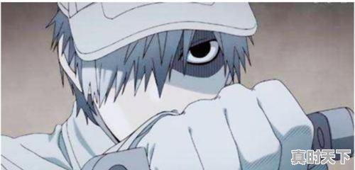 10、Q版三国同期上映的动漫，美国三观炸裂动漫推荐 - 真时天下