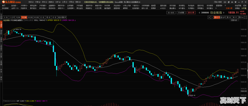 3、什么是主力和散户，股票怎么看散户和主力 - 真时天下