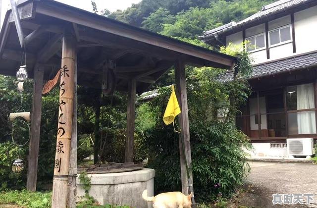 2、日本四季天气怎么样，东京天气 - 真时天下