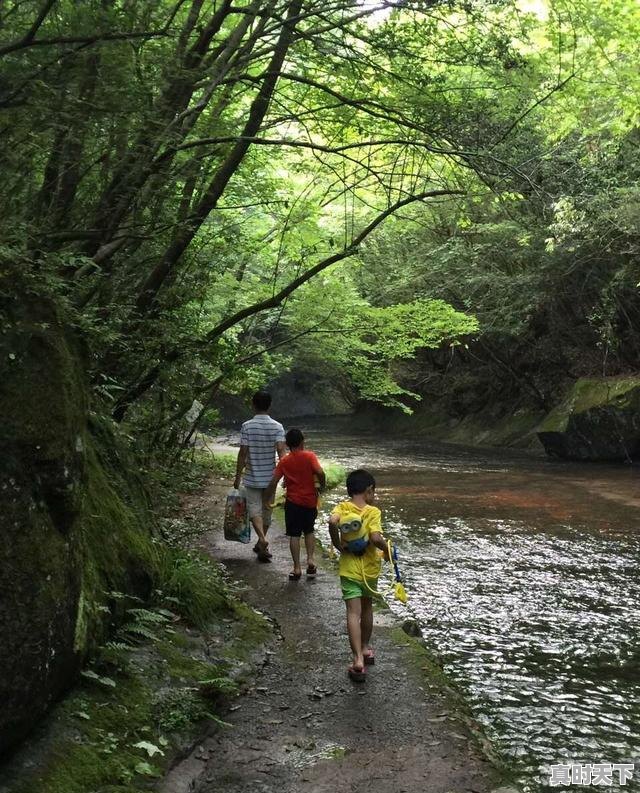 3、日本四季天气怎么样，东京天气 - 真时天下