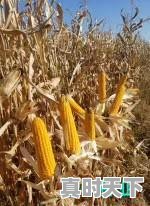 1、创新的重要性和意义，科技创新发展有哪些重大意义 - 真时天下