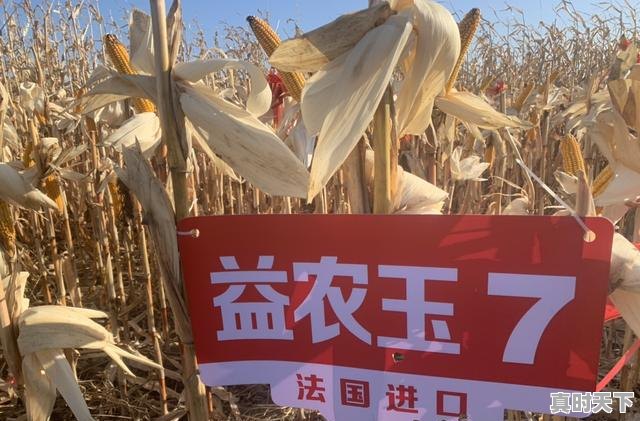 2、创新的重要性和意义，科技创新发展有哪些重大意义 - 真时天下