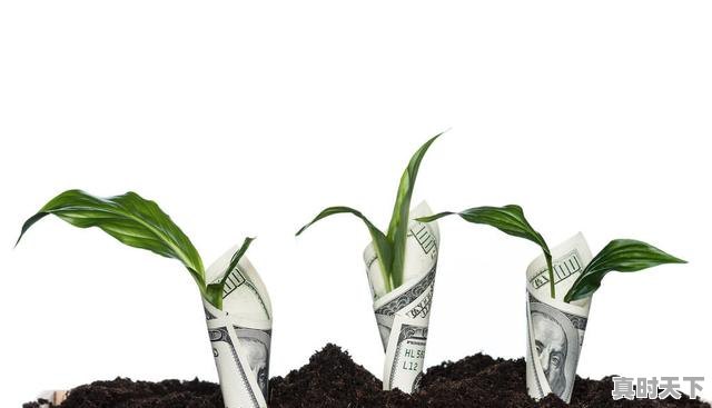 3、如何实现股票投资风险最小，怎么玩股票能保证不赔钱 - 真时天下