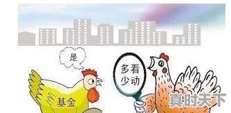 1、散户炒股为何90%的人都得赔钱?如何炒股才能挣钱啊,怎么玩股票一直赔钱呢 - 真时天下