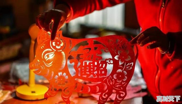 2、对教学计划的意见和建议，科技创新建议及意见 - 真时天下