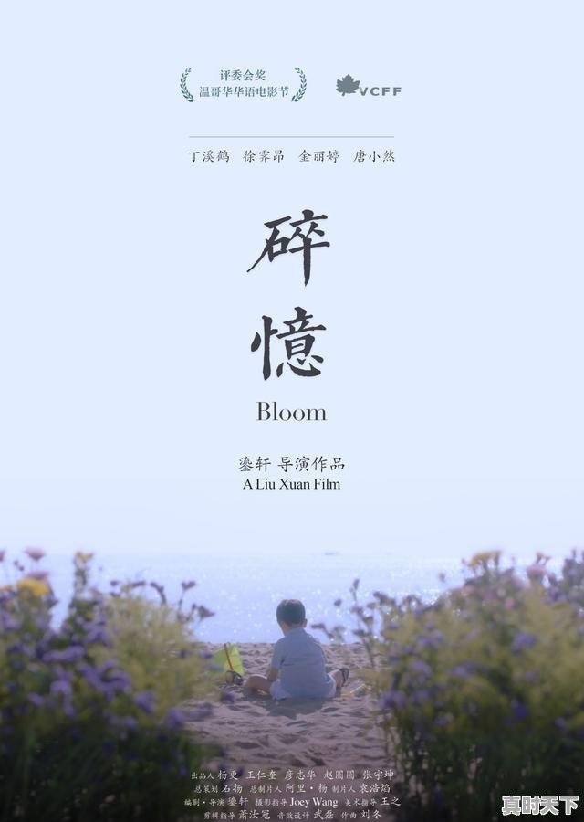 1、电影碎忆什么时候上映，温哥华华语电影节含金量怎么样 - 真时天下