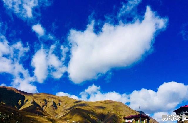 1、新都桥端午节冷吗，新都桥天气 - 真时天下