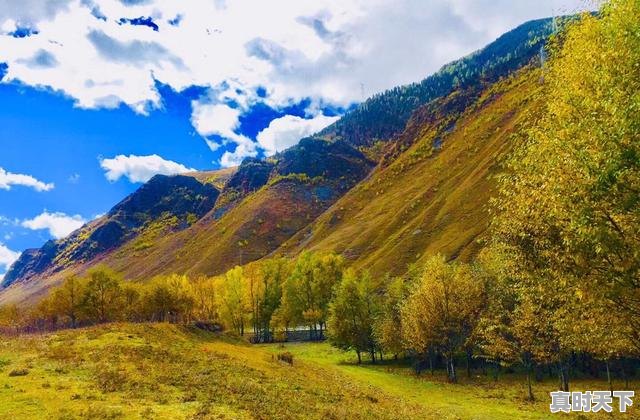 3、新都桥端午节冷吗，新都桥天气 - 真时天下