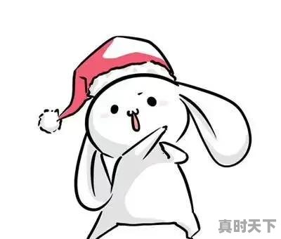 1、2022年成龙新电影，成龙最新电影评分高的有哪些 - 真时天下