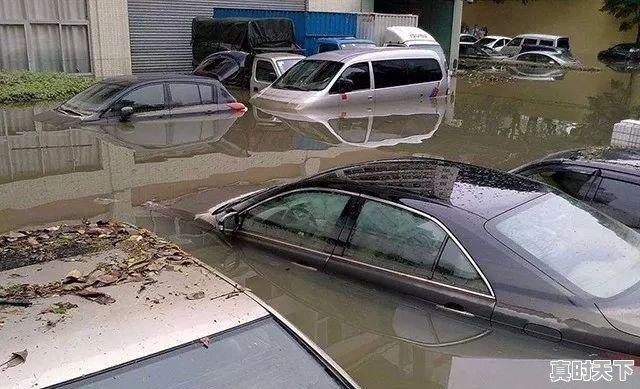 1、广东二手车哪家好，买什么二手车品牌好 - 真时天下