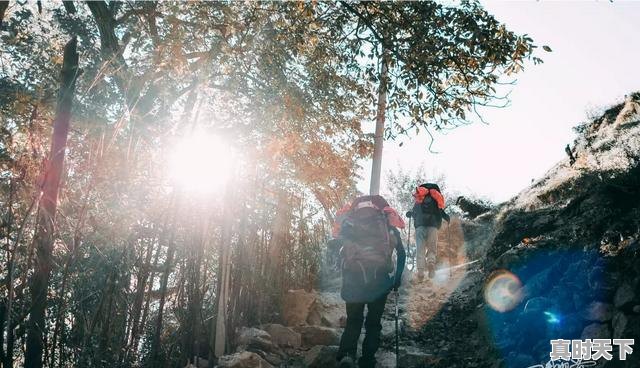 5、想去梅里雪山，什么时候看到日照金山的概率比较大，金山天气 - 真时天下
