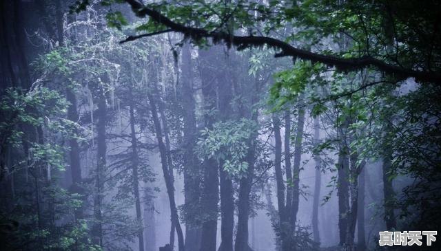 9、想去梅里雪山，什么时候看到日照金山的概率比较大，金山天气 - 真时天下