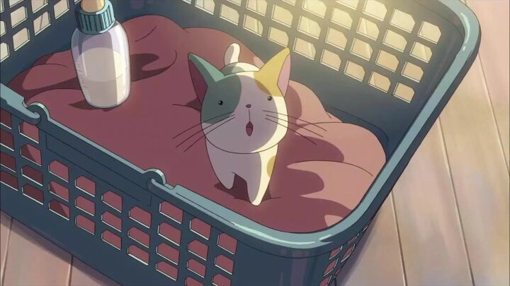 12、为什么国漫看着那么尬，好看很爽动漫推荐国漫 - 真时天下