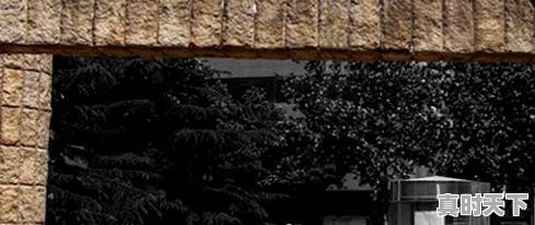 4、电影频道所有主持人，北京电影节嘉宾邀请码 - 真时天下