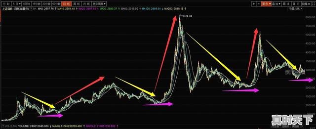 1、以自己为例，长期炒股到底赚不赚钱，玩股票挣到多少钱 - 真时天下