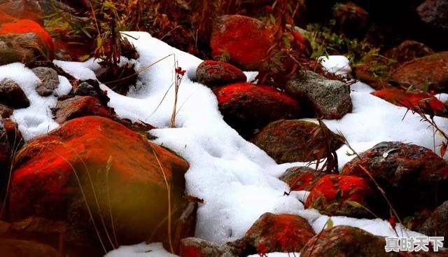 5、毕棚沟八月份能看到雪山吗，毕棚沟天气 - 真时天下