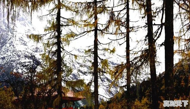 4、毕棚沟八月份能看到雪山吗，毕棚沟天气 - 真时天下