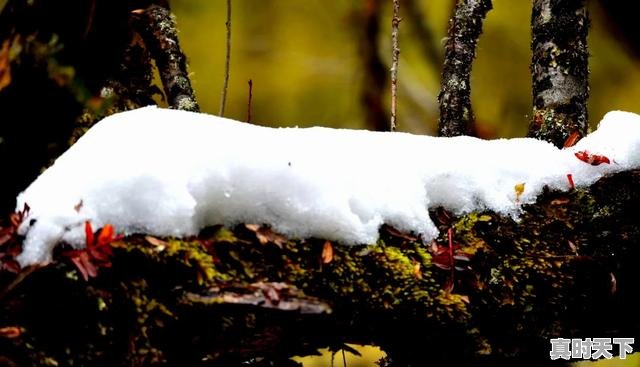 8、毕棚沟八月份能看到雪山吗，毕棚沟天气 - 真时天下