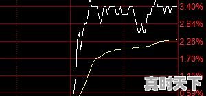6、什么叫尾盘买入，股票尾盘买入技巧详解 - 真时天下