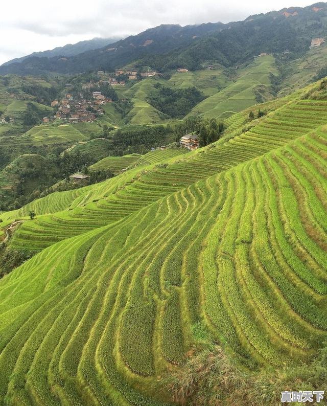 2、农业企业科技创新的故事，科技创新与现代农业 - 真时天下