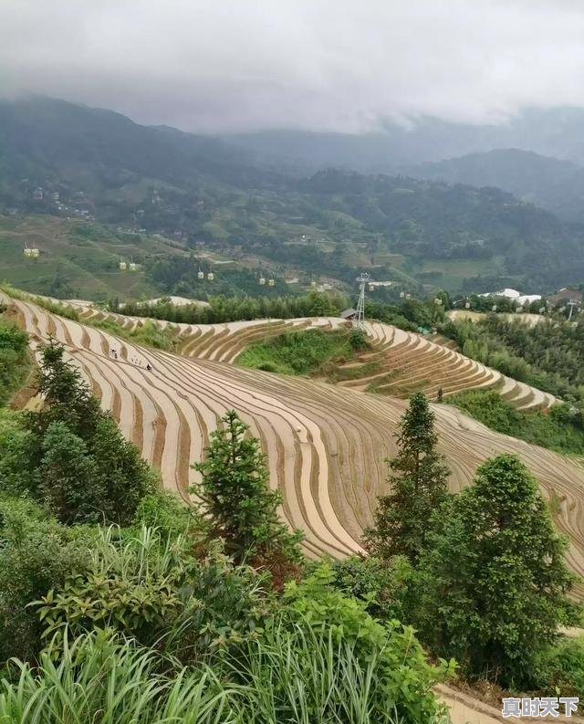 4、农业企业科技创新的故事，科技创新与现代农业 - 真时天下