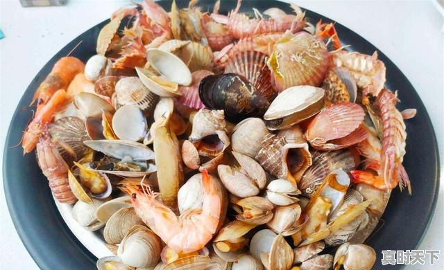 5、这几天去日照天气怎么样,山东日照天气 - 真时天下