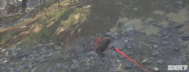 1、荒野的召唤打到猎物怎么处理，热门游戏猎物推荐 - 真时天下