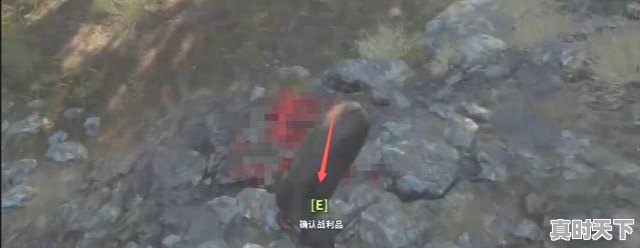 2、荒野的召唤打到猎物怎么处理，热门游戏猎物推荐 - 真时天下