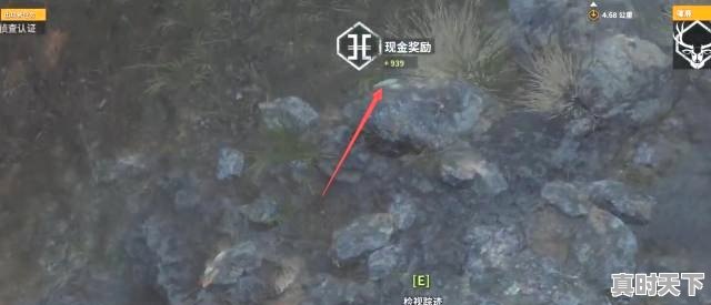 4、荒野的召唤打到猎物怎么处理，热门游戏猎物推荐 - 真时天下