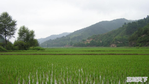 1、山西省临汾市尧都区天气预报，临汾明天天气 - 真时天下