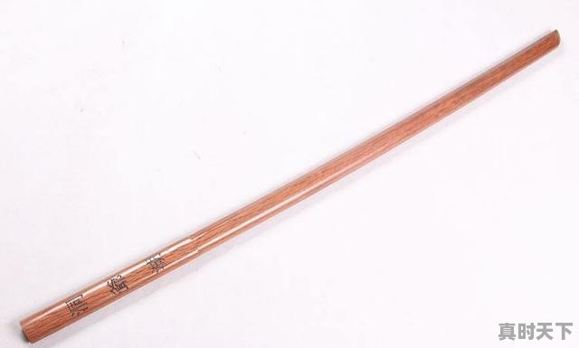 4、蛋壳特工混乱之剑强吗,男主剑术很强的动漫推荐 - 真时天下