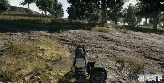 5、绝地求生电脑怎么设置最好,绝地求生变热门游戏怎么办 - 真时天下