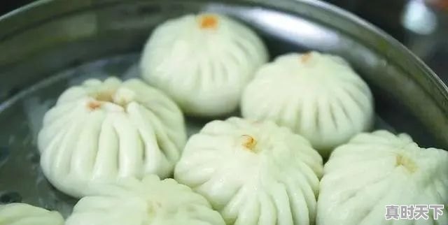 6、濮阳十大家常菜,今日濮阳生猪价格 - 真时天下