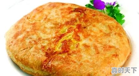 4、濮阳十大家常菜,今日濮阳生猪价格 - 真时天下