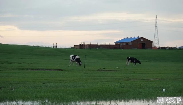 2、齐齐哈尔到牙克石自驾攻略,牙克石天气 - 真时天下