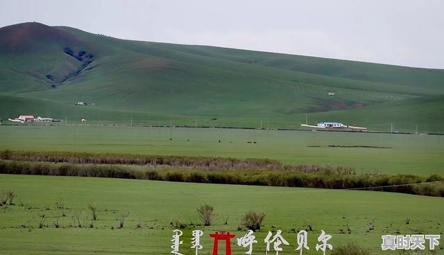 1、齐齐哈尔到牙克石自驾攻略,牙克石天气 - 真时天下