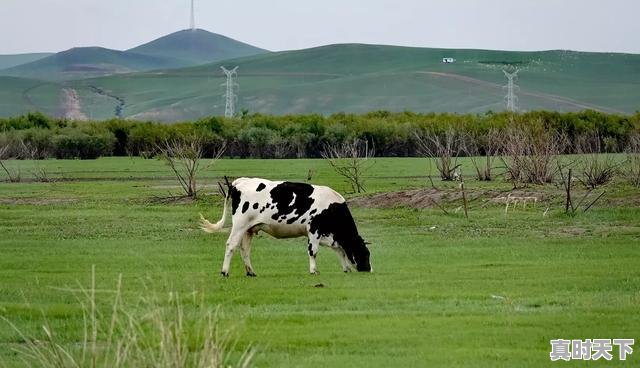 6、齐齐哈尔到牙克石自驾攻略,牙克石天气 - 真时天下