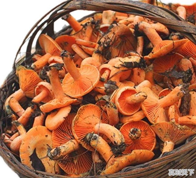 1、临澧县五里堆铁路桥什么时候维修,临澧天气 - 真时天下