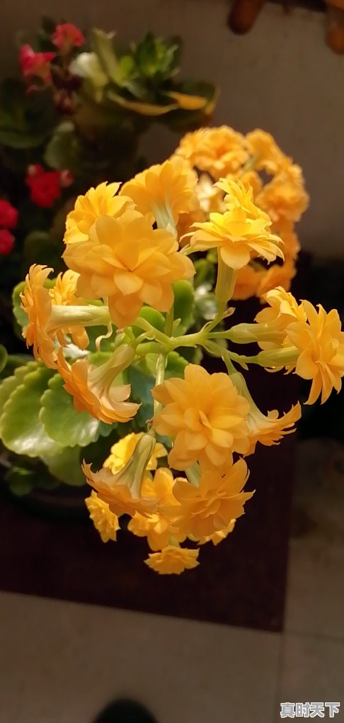 1、连续大宗交易折价成交预示着什么,频繁买入卖出同一只股票可以吗 - 真时天下