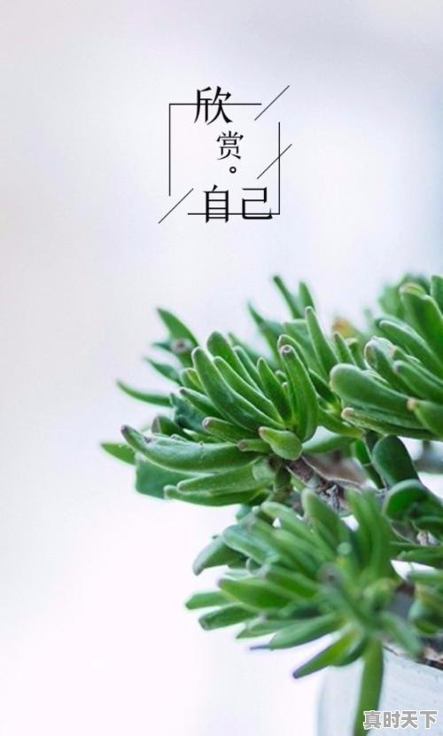 1、2022贺岁档电影，最新电影推荐已上映2022励志 - 真时天下