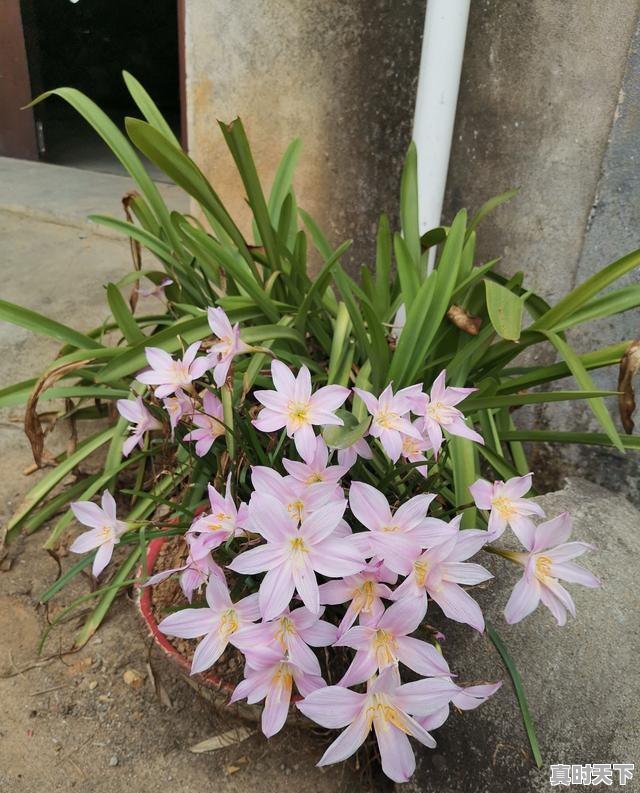 12、旬邑怎么读,彬县天气 - 真时天下