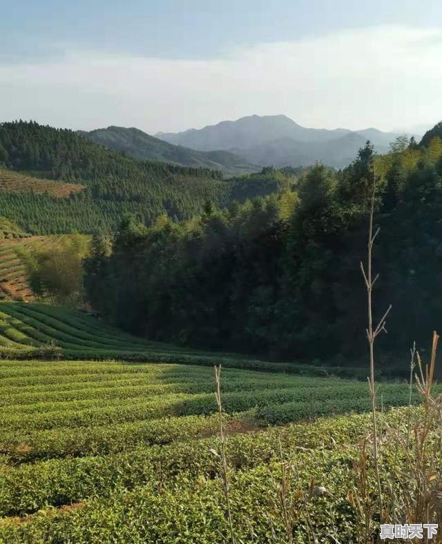 14、旬邑怎么读,彬县天气 - 真时天下