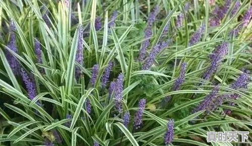 3、2023杭州8月份高温天气多少天，浙江省杭州市天气 - 真时天下